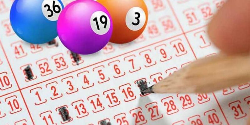 Hướng dẫn phân tích dữ liệu số học từ bảng giải đặc biệt mỗi kỳ