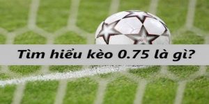 Kèo Chấp 0.75 - Cách Đọc Tỷ Lệ Và Mẹo Chinh Phục Hiệu Quả
