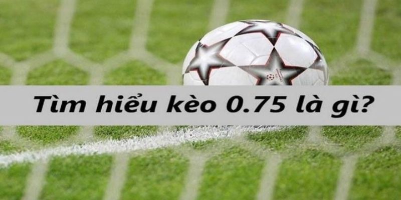 Kèo Chấp 0.75 - Cách Đọc Tỷ Lệ Và Mẹo Chinh Phục Hiệu Quả